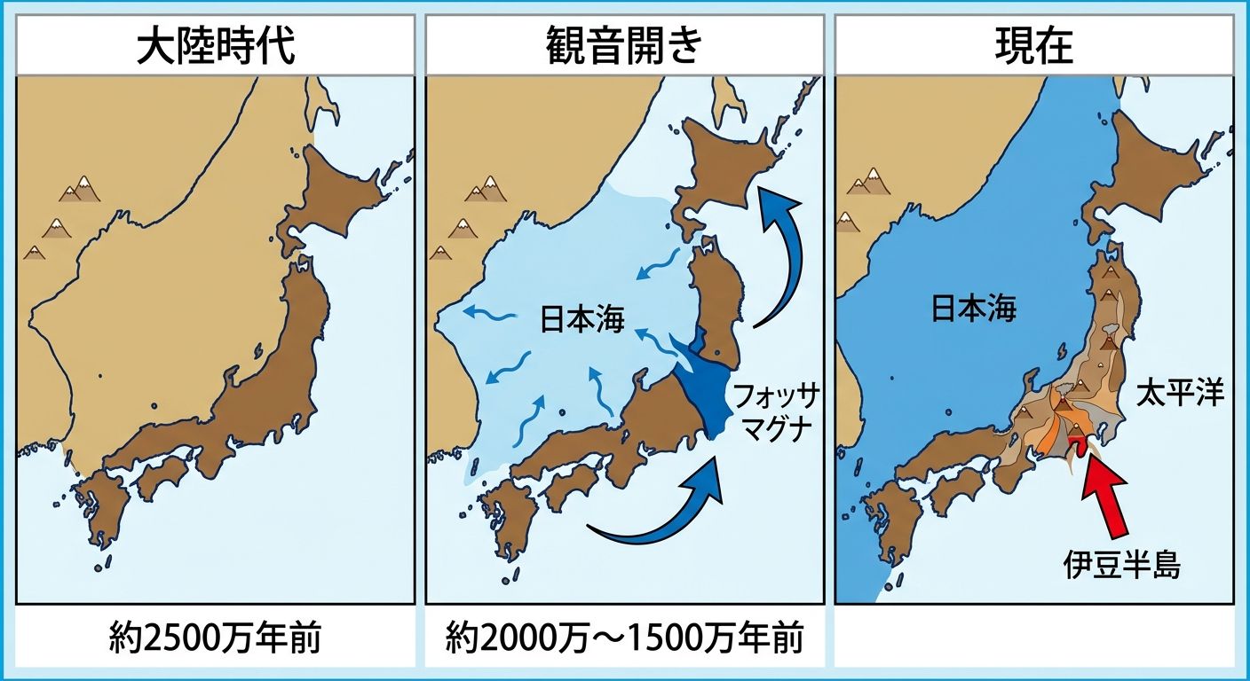 日本列島の観音開きとフォッサマグナの形成