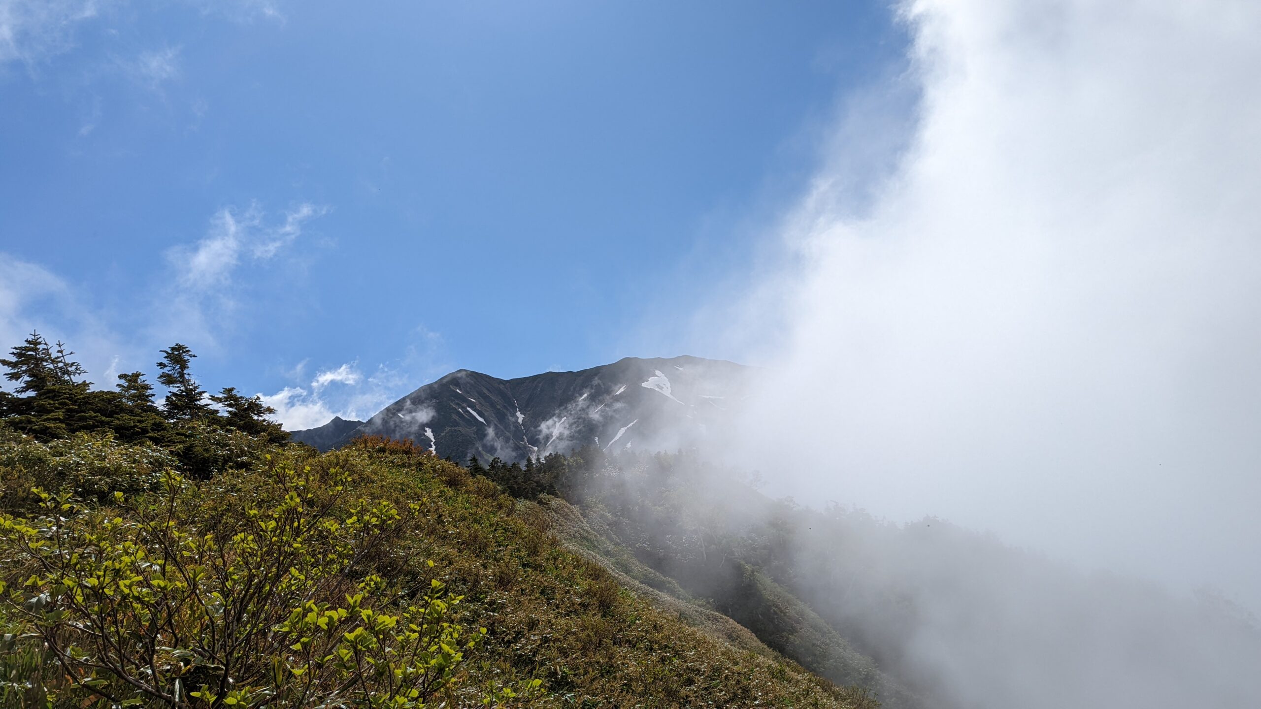白山の登山道から見上げた御前峰。雲が山腹に絡みつく