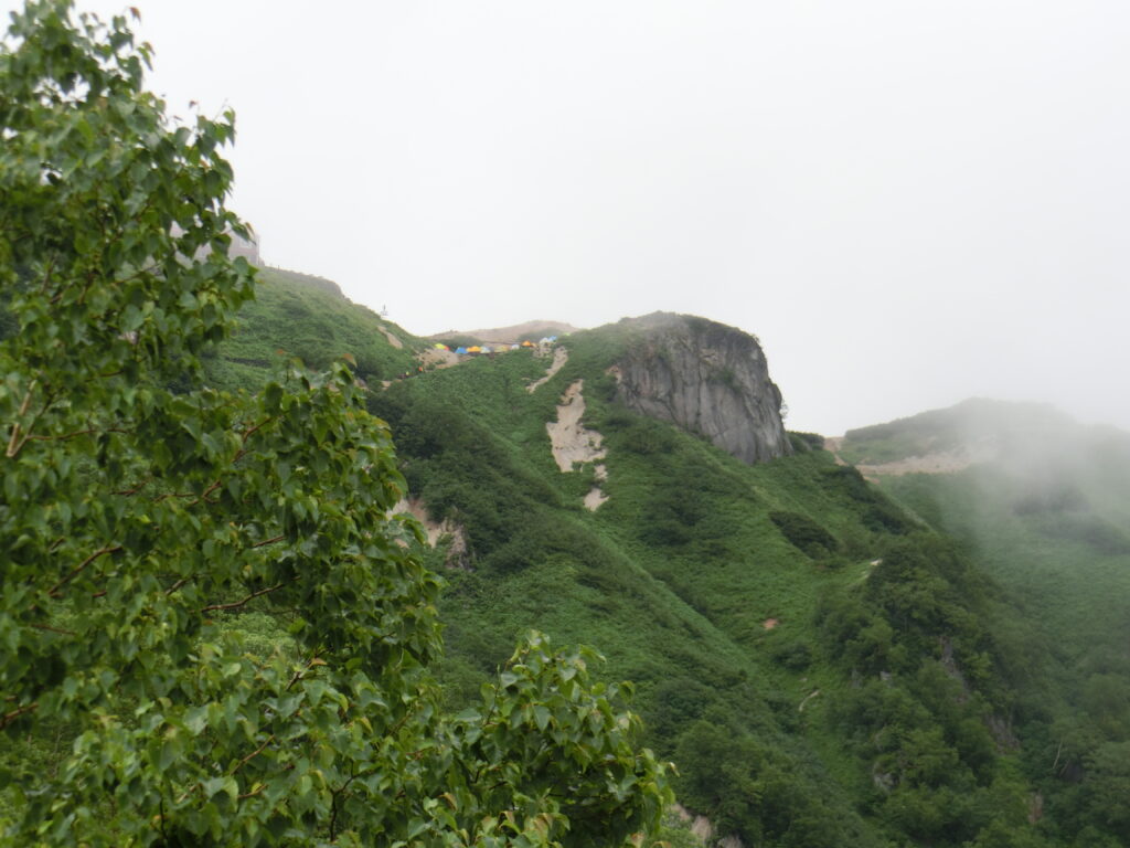 燕山荘付近から見た緑の稜線と白い花崗岩の岩峰