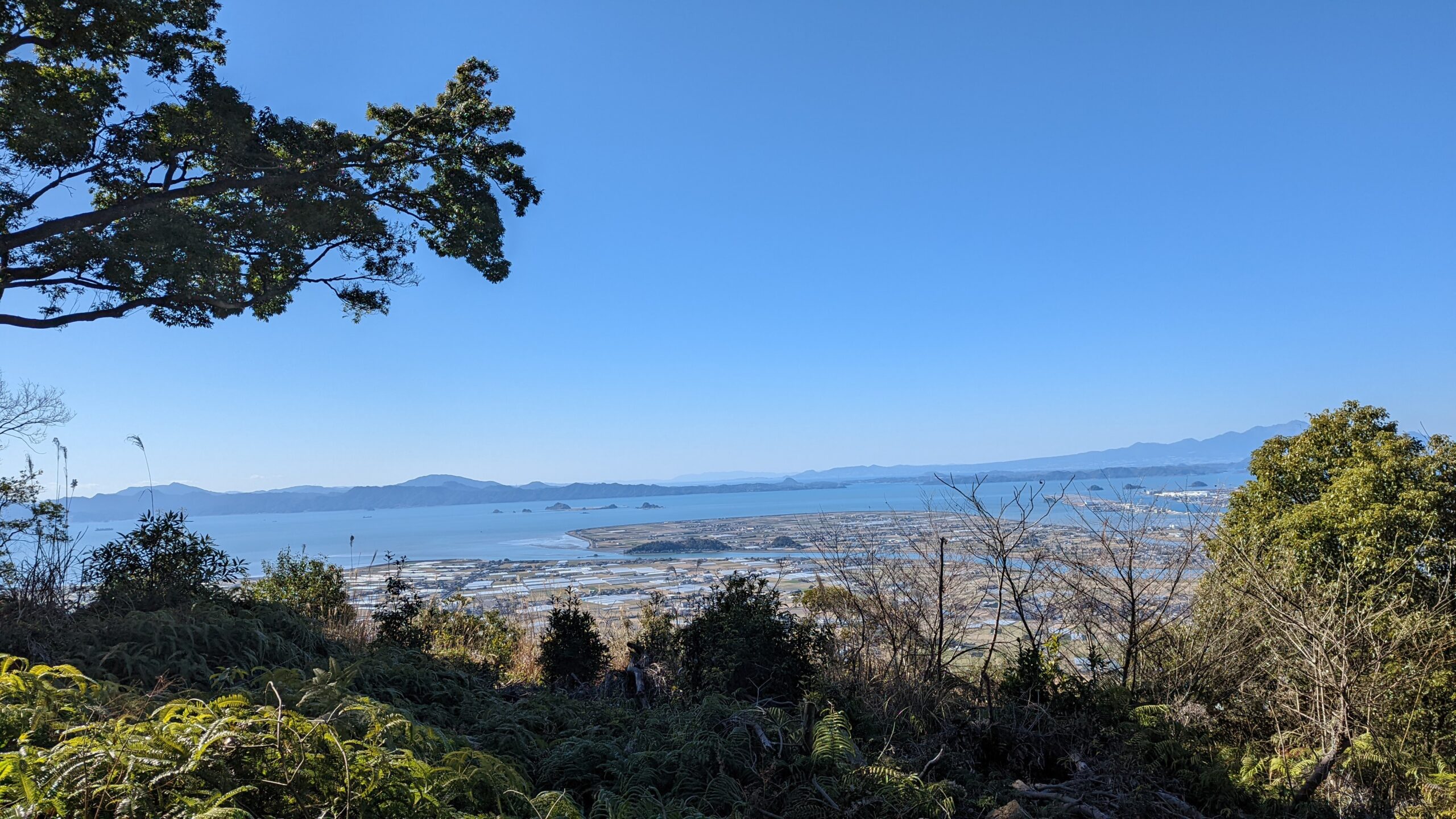山の上から見下ろした八代平野と八代海