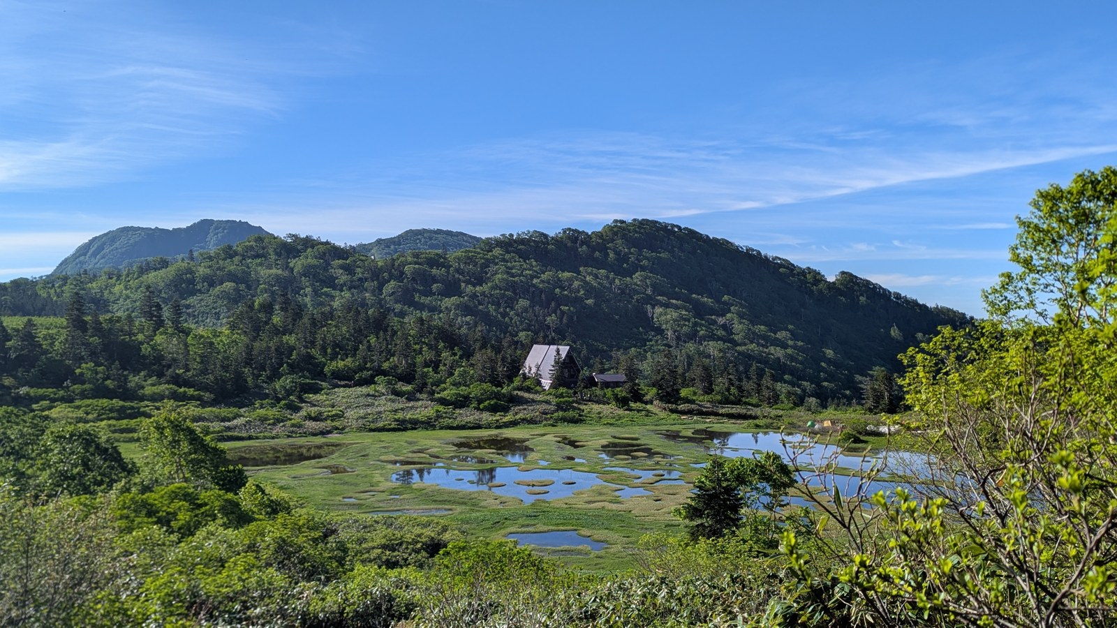火打山の高谷池・天狗の庭の湿原
