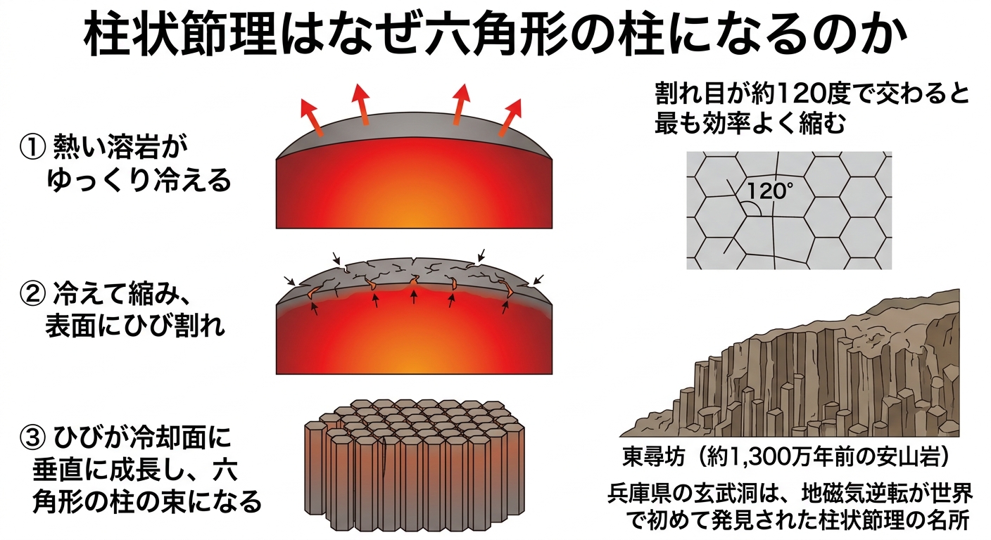 溶岩が冷えて収縮し六角形の柱状節理ができる仕組みと、割れ目が120度で交わる様子を示す図解