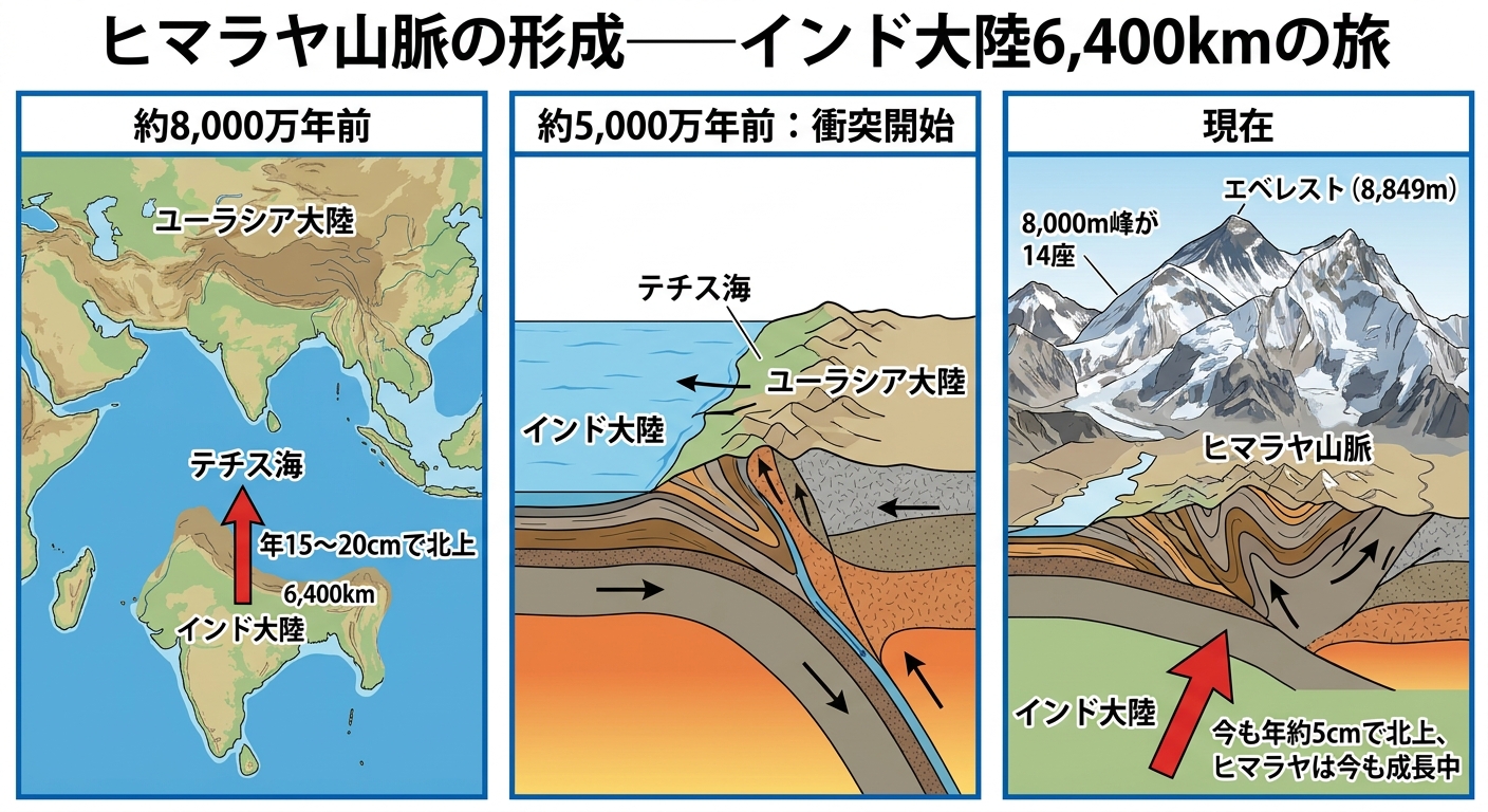 インド・ユーラシア大陸衝突とヒマラヤ形成の断面図