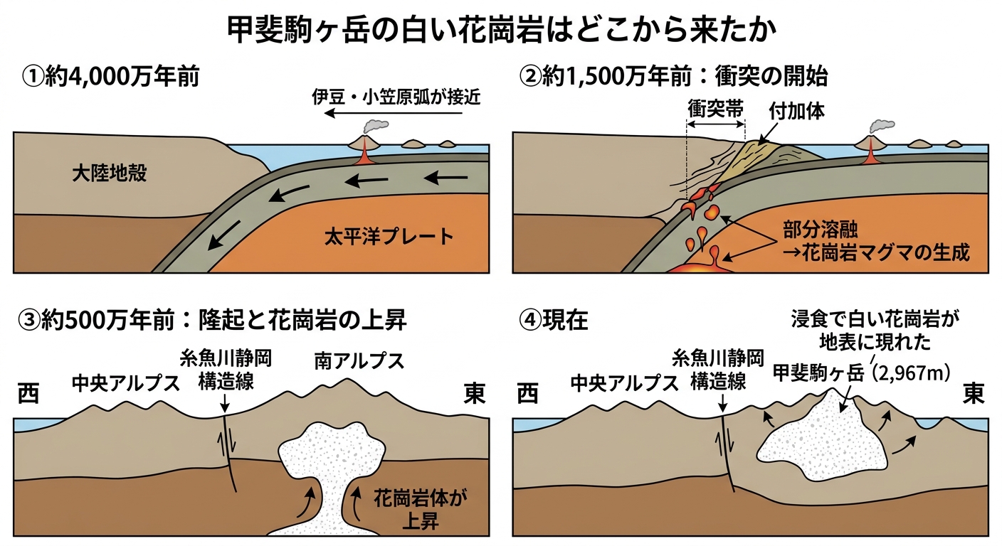 伊豆半島衝突と甲斐駒ケ岳の白い花崗岩