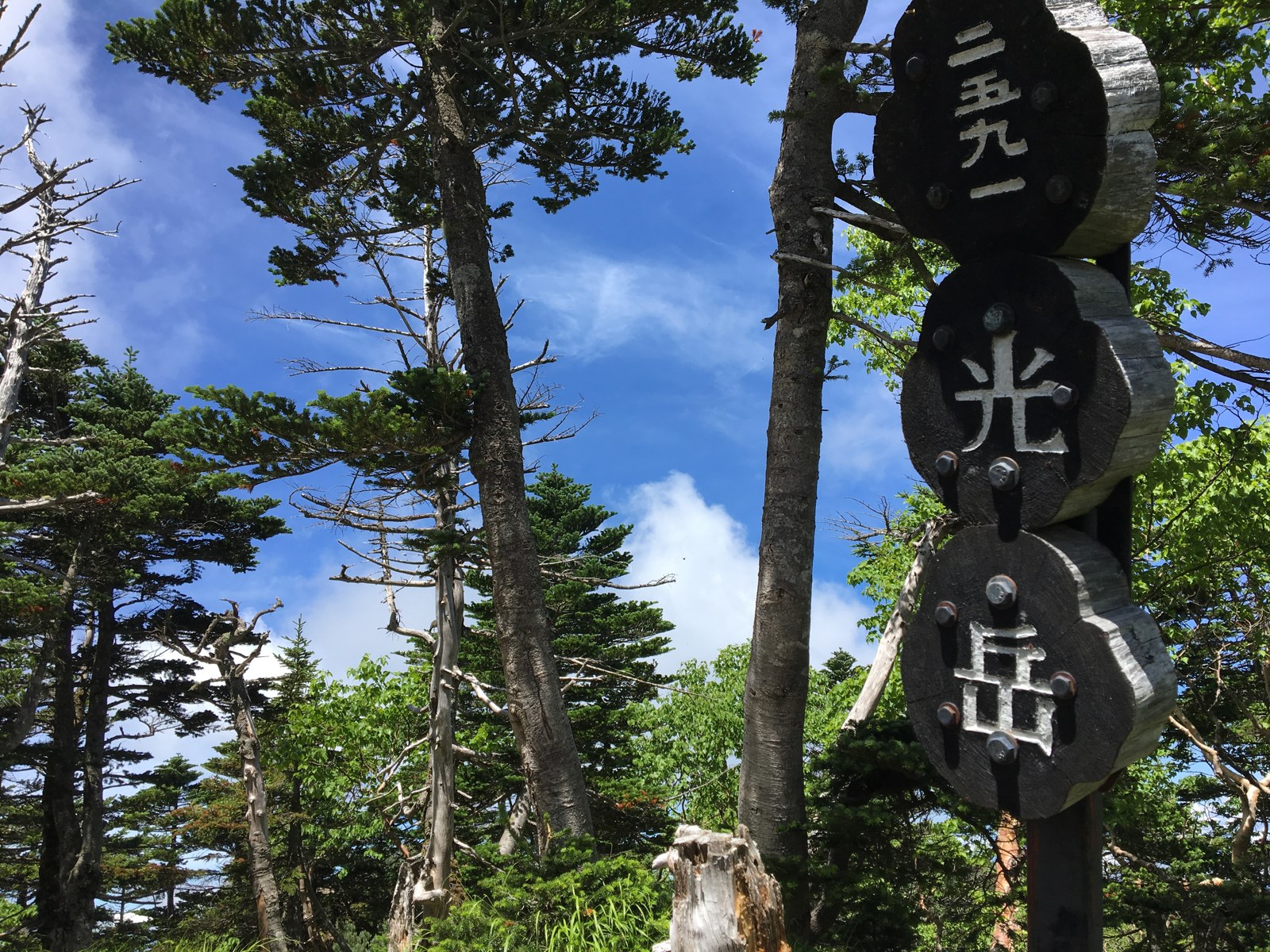 光岳の山頂標識