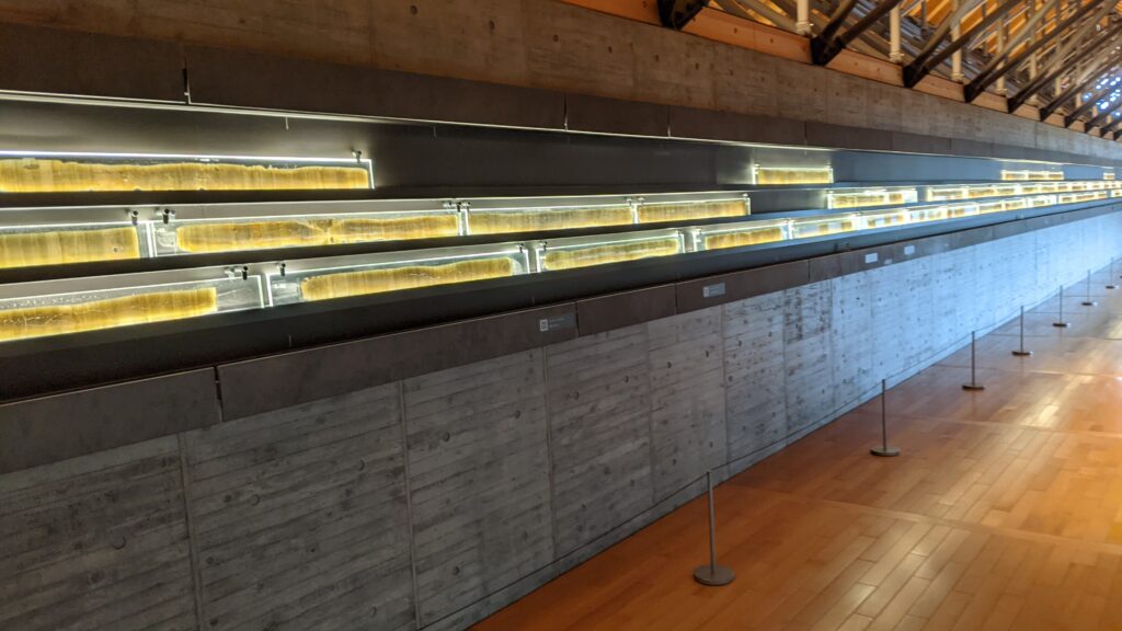 福井県年縞博物館に45mにわたって並ぶ水月湖の年縞の展示