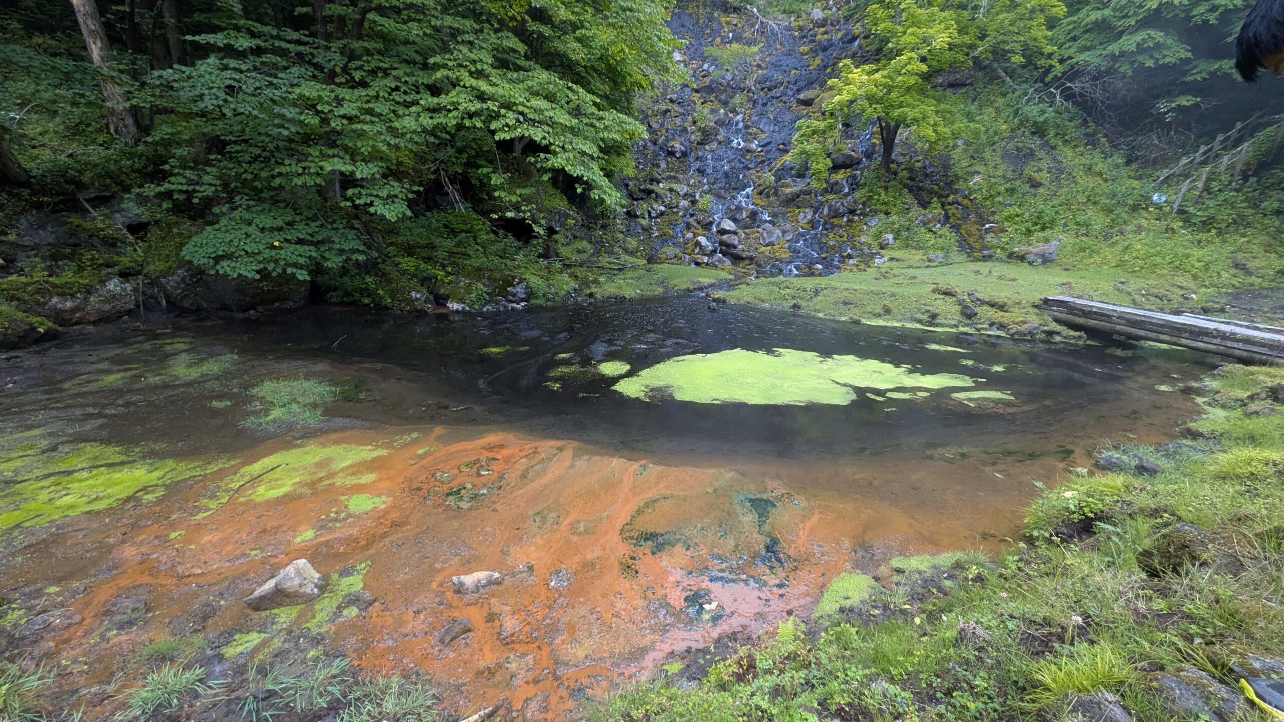 オンネトー湯の滝の滝壺。オレンジ色の沈殿物と緑の藻が広がる