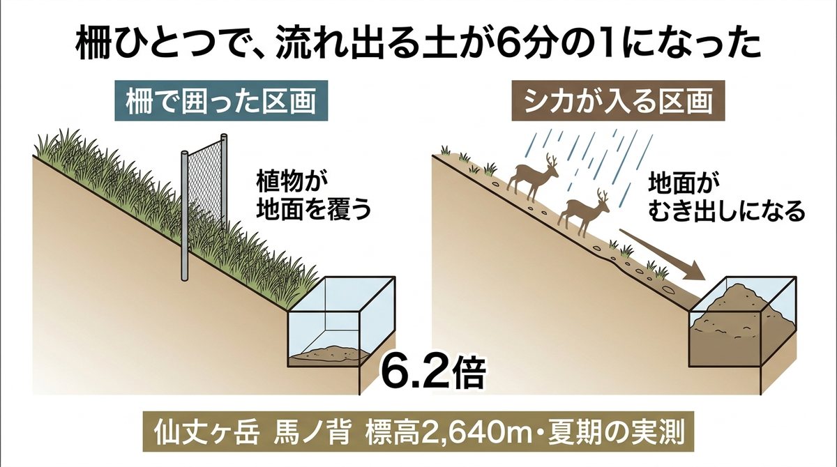シカを柵で締め出した区画と入る区画で、斜面から流れ出る土砂の量を比較した断面図