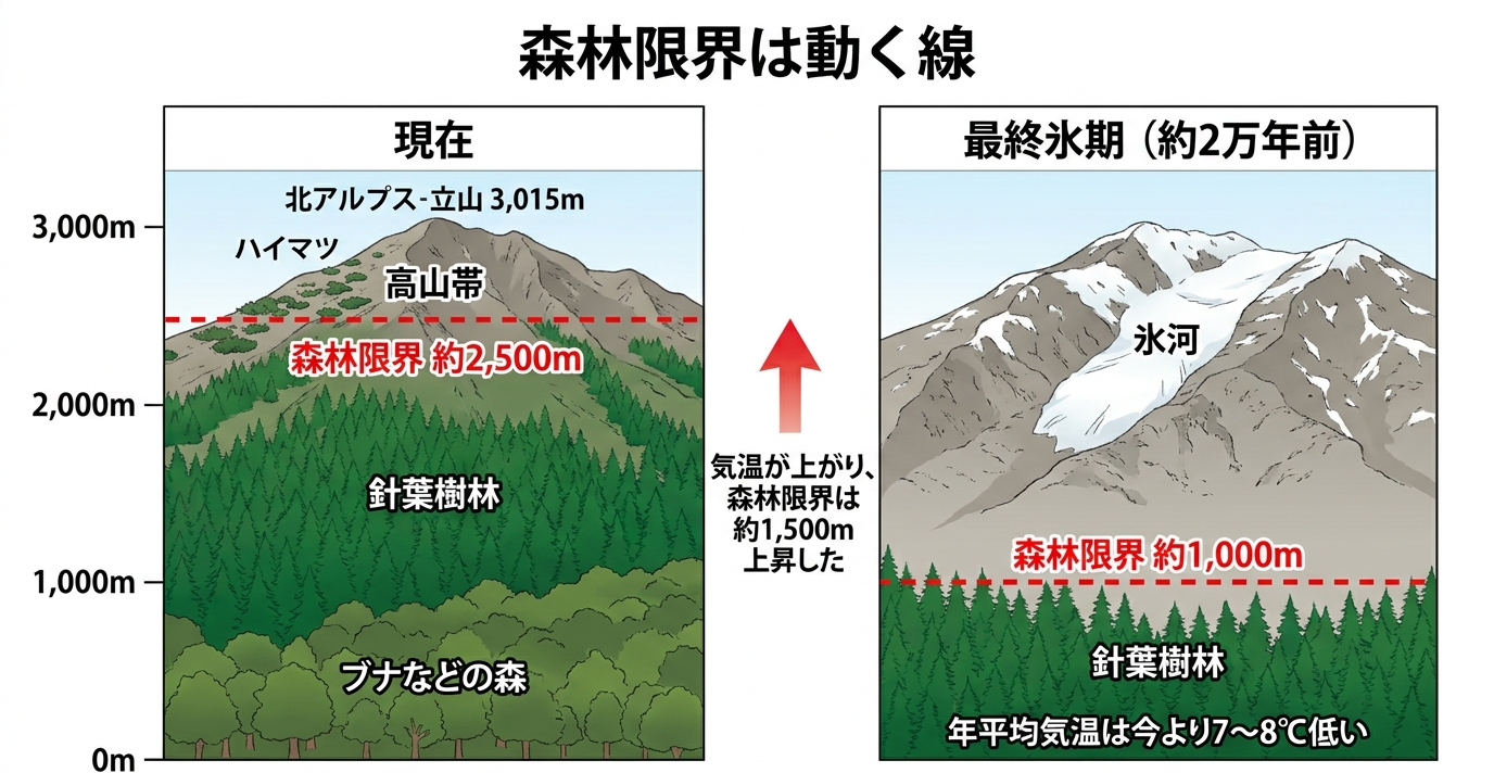 現在と最終氷期の森林限界の高さを比較した山の断面図解