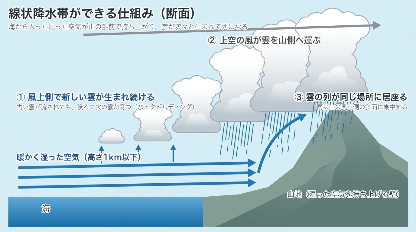 線状降水帯ができる仕組みの断面図。海から入った湿った空気が山の手前で持ち上がり、風上側で次々と積乱雲が生まれて列になる
